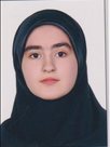 آیدا محمدی قلعه نی