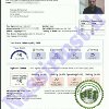 مدرک تافل toefl