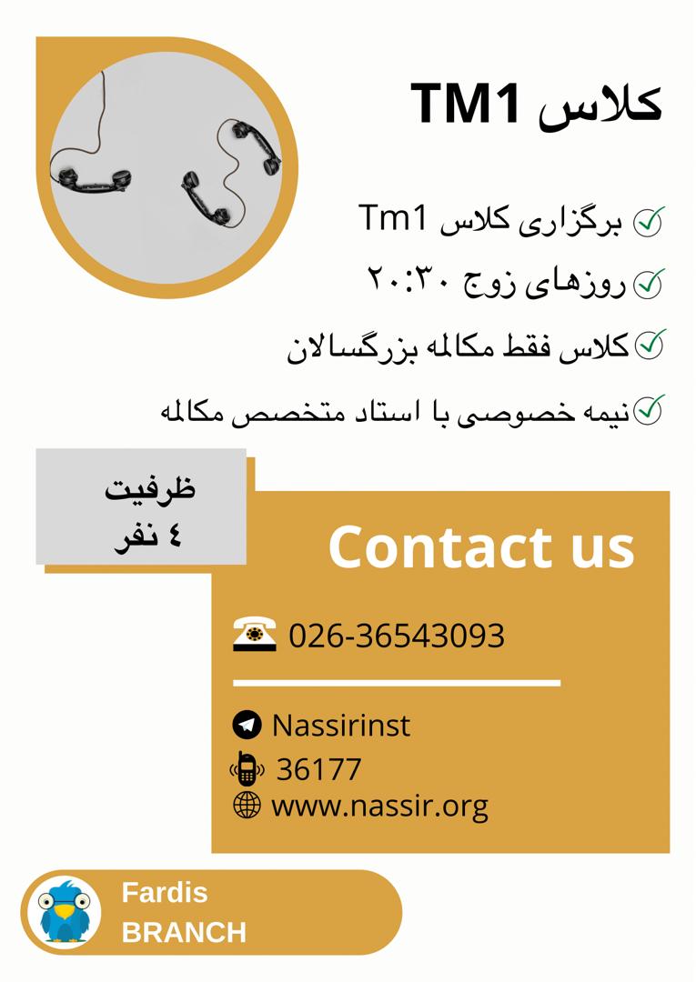 مؤسسات آنلاین و حضوری زبان نصیر