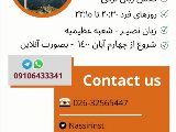 تركى استانبولى a1/a2 - شعبه عظيميه