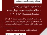 استخدام عظيميه
