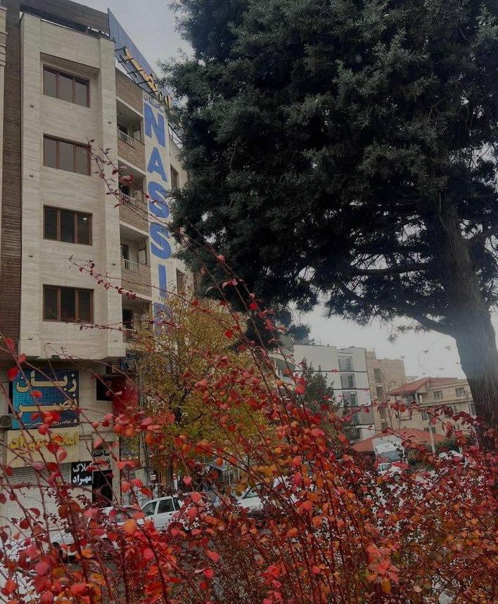 مؤسسات آنلاین و حضوری زبان نصیر