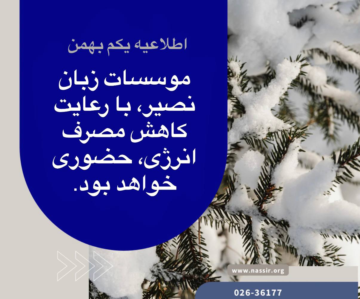 مؤسسات آنلاین و حضوری زبان نصیر
