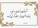 آموزه دكتر ميرآقا