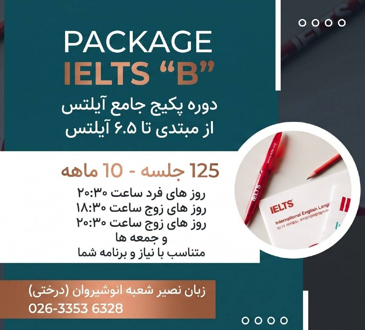 مؤسسات آنلاین و حضوری زبان نصیر