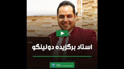 استاد برگزيده دولينگو