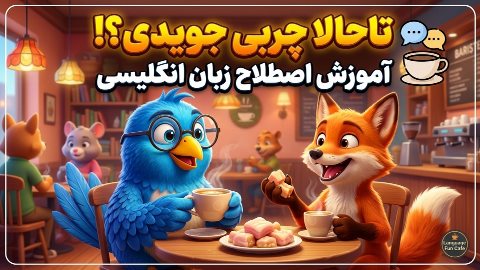 اصطلاحات زبان انگلیسی | chew the fat